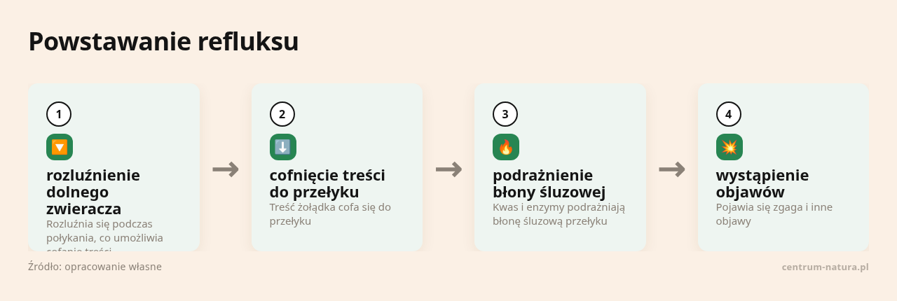 Kolejne kroki: rozluźnienie dolnego zwieracza, cofnięcie treści do przełyku, podrażnienie błony śluzowej, wystąpienie objawów