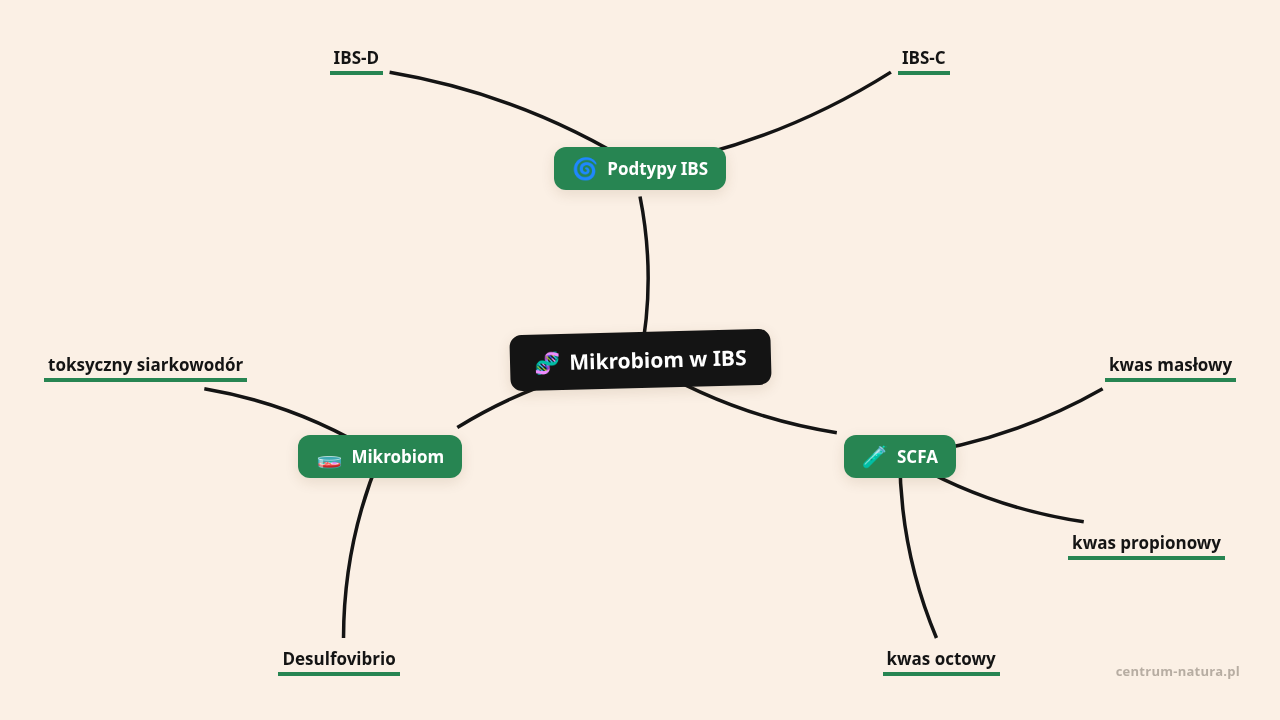 Mapa myśli: Mikrobiom w IBS, gałęzie: Podtypy IBS, SCFA, Mikrobiom